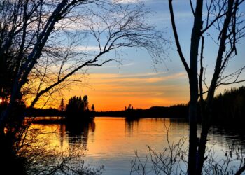 Big Impact: Essential Tips for Combating Global Warming