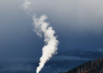 Vanishing Wildlife: Unraveling the Human Footprint