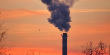 Plastic's Legacy: Unraveling the Environmental Catastrophe