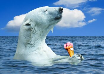 The Basics of Climate Change: What You Need to Know