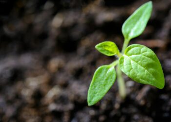 Exploring Green Destinations: A Guide for Sustainable Travel