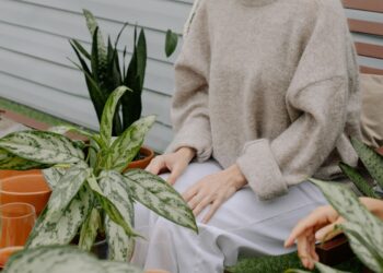 Affordable Green: Mastering Sustainable Living Without Breaking the Bank