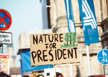 Shaping the Future: Key Trends in Global Climate Policy