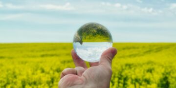 Next-Gen Environmental Pioneers: Green Tech Startups Making a Difference