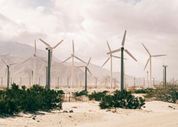 Top Energy-Saving Appliances for Your Home