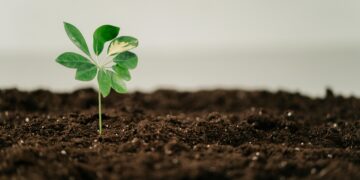 Innovations in Green Tech: Pioneering Eco-Friendly Initiatives