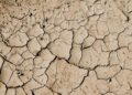 Signs of Global Warming: Nature's Warning Signals