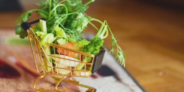 Green Shopping: Revolutionizing Consumer Habits for a Sustainable Future