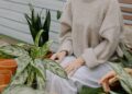 Thrifty Green: Mastering Sustainable Living Without Breaking the Bank