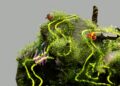 Sustainable Innovations: Charting the Future of Eco-Friendly Technology