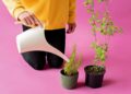 Zero Waste Living Made Simple: A Beginner’s Guide to Eco-Friendly Choices