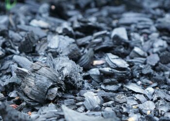 Effective Strategies for Reducing Your Carbon Footprint
