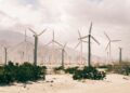 Revolutionizing Sustainability: Top Green Tech Startups to Watch