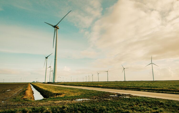 Green Energy Essentials: A Beginner’s Guide to Sustainable Solutions